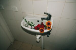 Behavior Change Communication for Sanitation Improvement