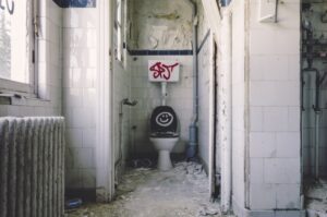 Community-Led Total Sanitation A Grassroots Approach