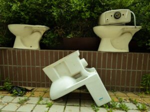 Sanitation Infrastructure in Developing Countries